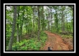 Tract 3 - Muskingum Woods property photo