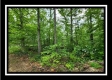 Tract 3 - Muskingum Woods property photo