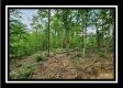Tract 3 - Muskingum Woods property photo