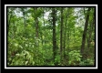 Tract 3 - Muskingum Woods property photo