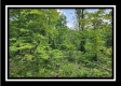 Tract 3 - Muskingum Woods property photo