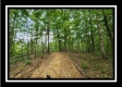 More of Tract 3 - Muskingum Woods
