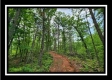 Tract 3 - Muskingum Woods property photo