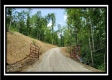 Tract 3 - Muskingum Woods property photo