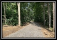 Tract 5 - The Woods at Potts Hill