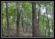 Tract 5 - The Woods at Potts Hill property photo