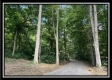 Tract 5 - The Woods at Potts Hill property photo