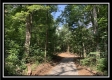 Tract 5 - The Woods at Potts Hill property photo