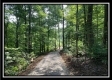 Tract 5 - The Woods at Potts Hill property photo