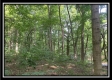 Tract 5 - The Woods at Potts Hill property photo