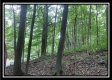 Tract 5 - The Woods at Potts Hill property photo