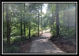More of Tract 5 - The Woods at Potts Hill