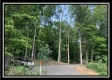 Tract 5 - The Woods at Potts Hill property photo