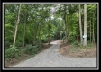 Tract 6 - The Woods at Potts Hill property photo