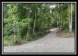 More of Tract 6 - The Woods at Potts Hill