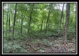Tract 6 - The Woods at Potts Hill property photo