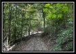 Lot 5 at Perry Ridge property photo