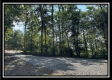 Lot 5 at Perry Ridge property photo