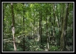 Lot 5 at Perry Ridge property photo