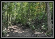 Lot 5 at Perry Ridge property photo