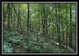 Lot 5 at Perry Ridge property photo