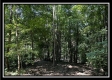 Lot 5 at Perry Ridge property photo