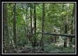 Lot 5 at Perry Ridge property photo
