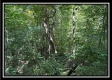 Lot 5 at Perry Ridge property photo