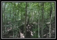 Lot 5 at Perry Ridge property photo
