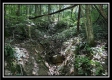Lot 5 at Perry Ridge property photo