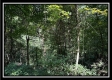 Lot 5 at Perry Ridge property photo