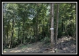 More of Lot 5 at Perry Ridge