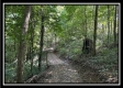 Lot 5 at Perry Ridge property photo