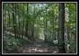 Lot 5 at Perry Ridge property photo