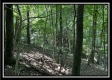 Lot 5 at Perry Ridge property photo
