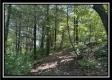 Blue Bird Cabin at Perry Ridge property photo