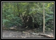 Blue Bird Cabin at Perry Ridge property photo