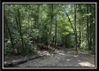 Blue Bird Cabin at Perry Ridge property photo