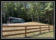 Blue Bird Cabin at Perry Ridge property photo