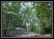 Blue Bird Cabin at Perry Ridge property photo