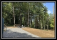 Blue Bird Cabin at Perry Ridge property photo