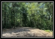 Blue Bird Cabin at Perry Ridge property photo