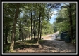 Blue Bird Cabin at Perry Ridge property photo
