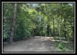 Blue Bird Cabin at Perry Ridge property photo