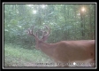Lot 8 at Perry Ridge property photo