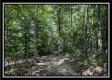 Lot 8 at Perry Ridge property photo