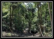 Lot 8 at Perry Ridge property photo