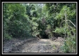 Lot 8 at Perry Ridge property photo