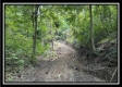 Lot 8 at Perry Ridge