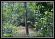Lot 8 at Perry Ridge property photo
